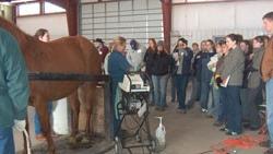 Students in an equine studies class